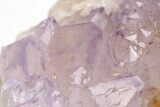 Huge, Cactus Quartz (Amethyst) Crystal Cluster - South Africa #206116-5